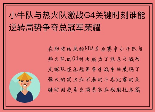 小牛队与热火队激战G4关键时刻谁能逆转局势争夺总冠军荣耀